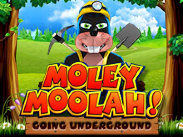 Moley Moolah Going Underground