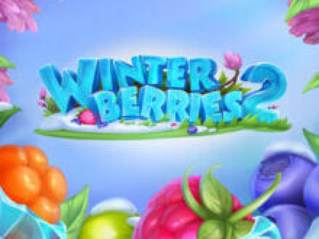 Winterberries 2