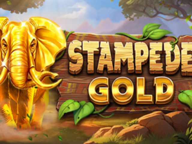 Stampede Gold