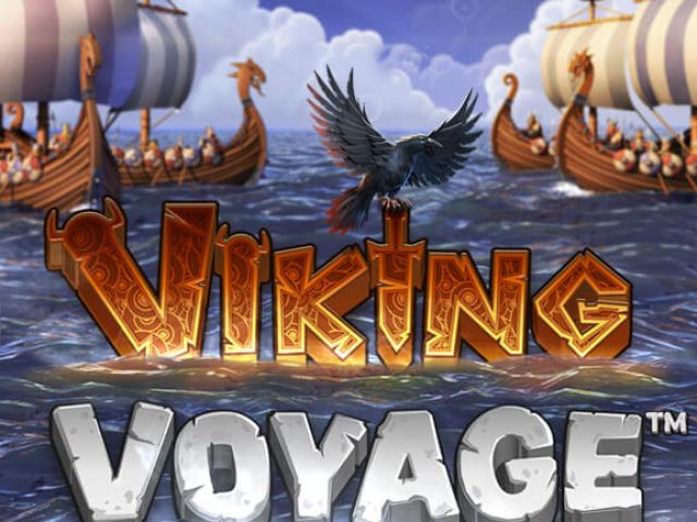 Viking Voyage