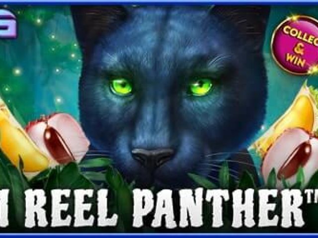 1 Reel Panther