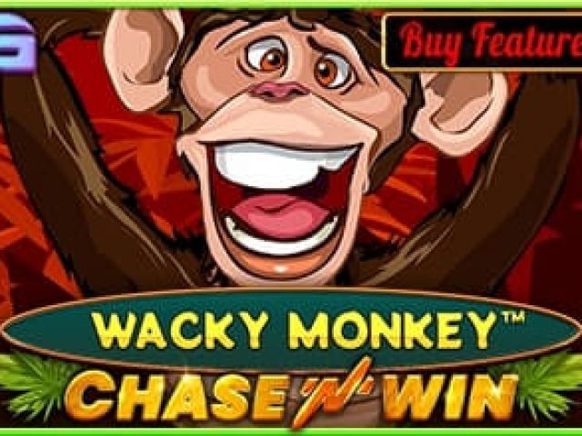 Wacky Monkey - Chase'N'Win