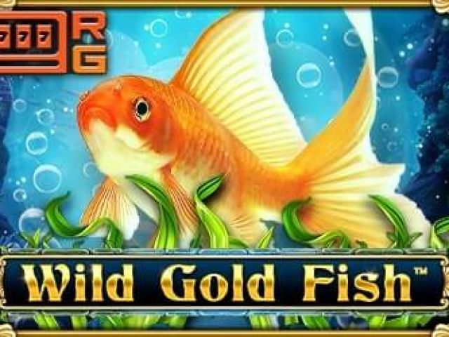 Wild Gold Fish