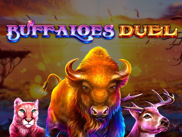 Buffaloes Duel