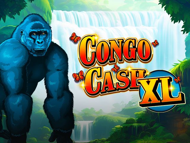 Congo Cash XL