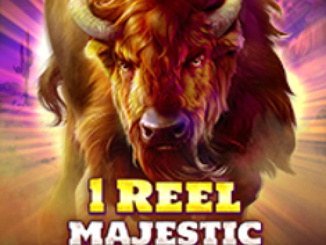 1 Reel - Majestic Wild Buffalo