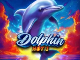 Dolphin Hot 1