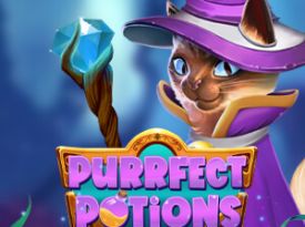 Purrfect Potions