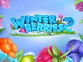 Winterberries 2