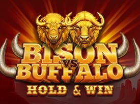 Bison vs Buffalo