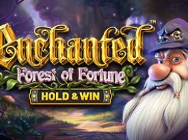 Enchanted: Forest of Fortune