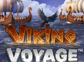 Viking Voyage