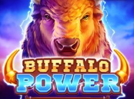 Buffalo Power: Hold & Win