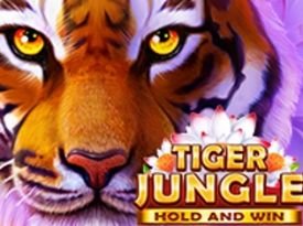 Tiger Jungle