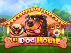 The Dog House