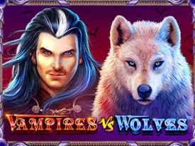 Vampires vs Wolves