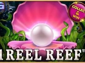 1 Reel Reef