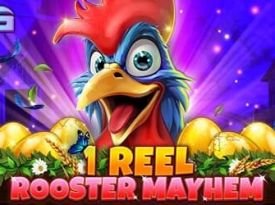 1 Reel - Rooster Mayhem