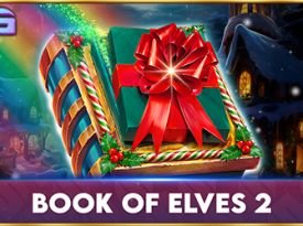 Book Of Elves 2