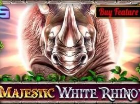 Majestic White Rhino