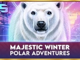 Majestic Winter - Polar Adventures