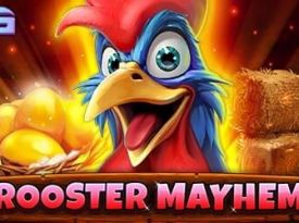 Rooster Mayhem