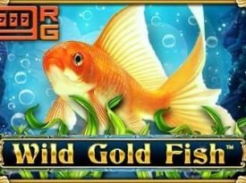 Wild Gold Fish