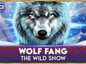 Wolf Fang - The Wild Snow