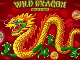 Wild Dragon HOLD&WIN