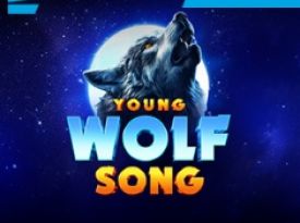 Young Wolf Song