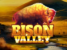 Bison Valley