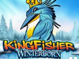 Kingfisher Winterborn™