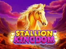 Stallion Kingdom™