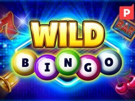 Wild Bingo