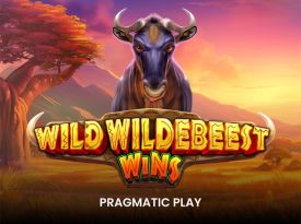 Wild Wildebeest Wins