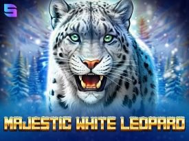 Majestic White Leopard