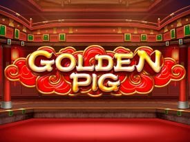 Golden Pig